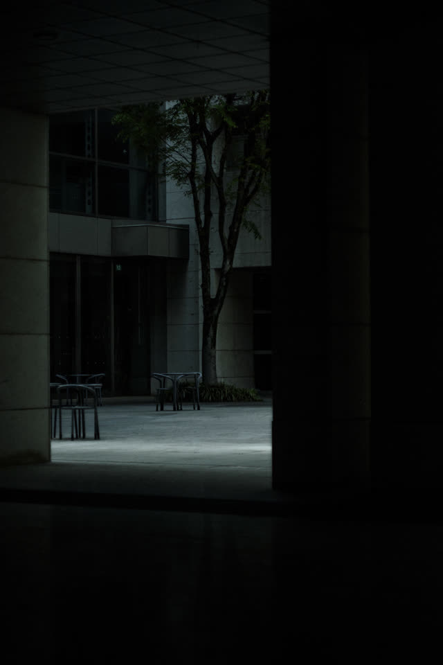 夜の中庭。暗がりの中に建物の輪郭と一本の木
