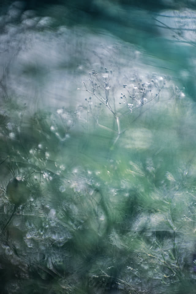 青緑のにじみの中に、水滴をまとった細い草。全体が丸く滲む