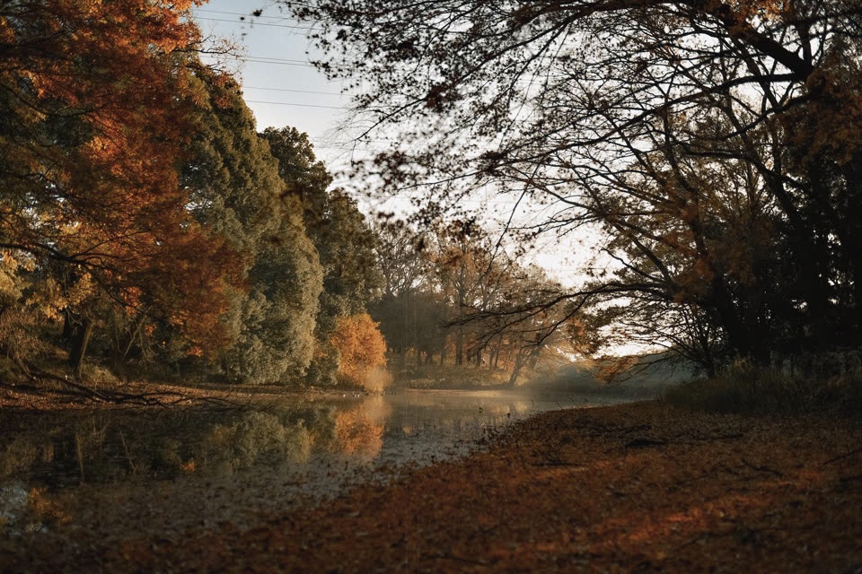 Autumn Pond, Morning Mist